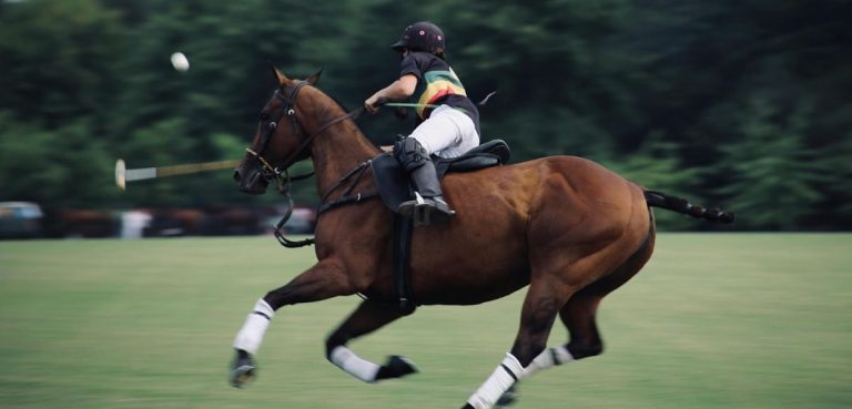 Can You Get A DUI Riding A Horse And What Are The Legal Consequences