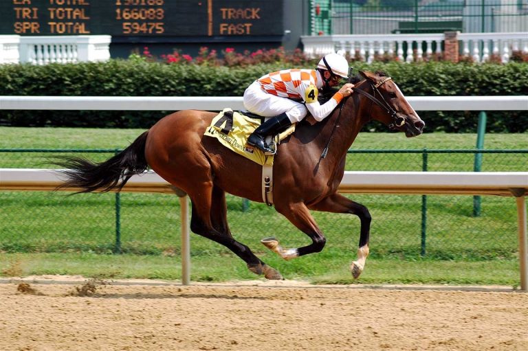 How Fast Can a Racing Horse Run: Speeds, Records, and Factors