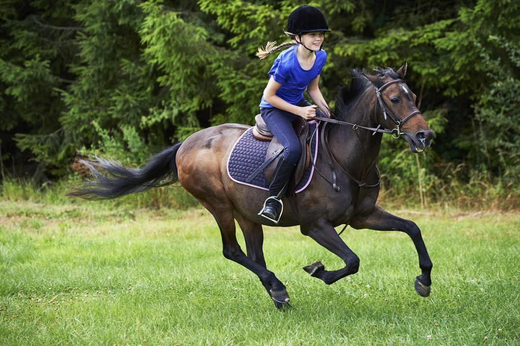 How To Riding Horse: Step-By-Step Guide For Beginners And Advanced ...