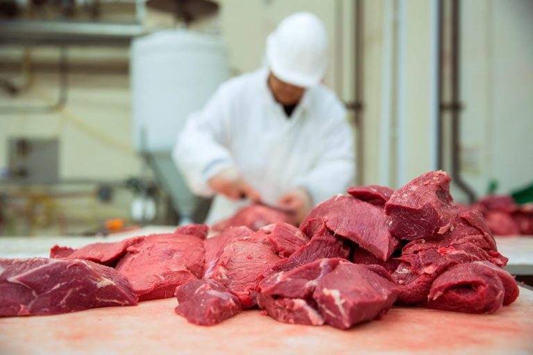 Is Horse Meat Good? Nutritional, Health, and Ethical Insights
