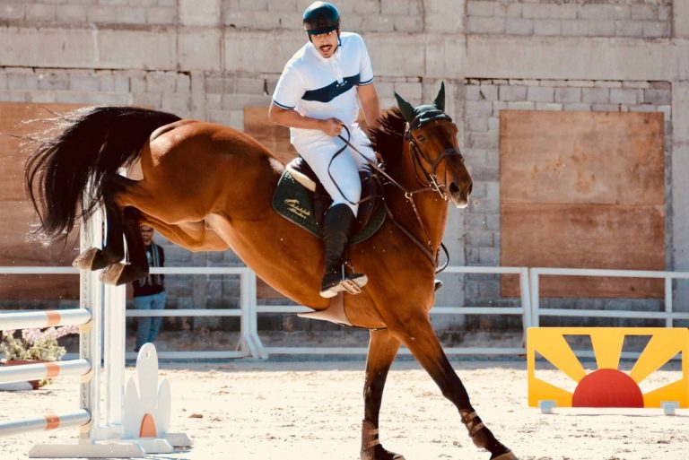 Is Horse Riding A Sport? Exploring Competitive And Recreational Riding