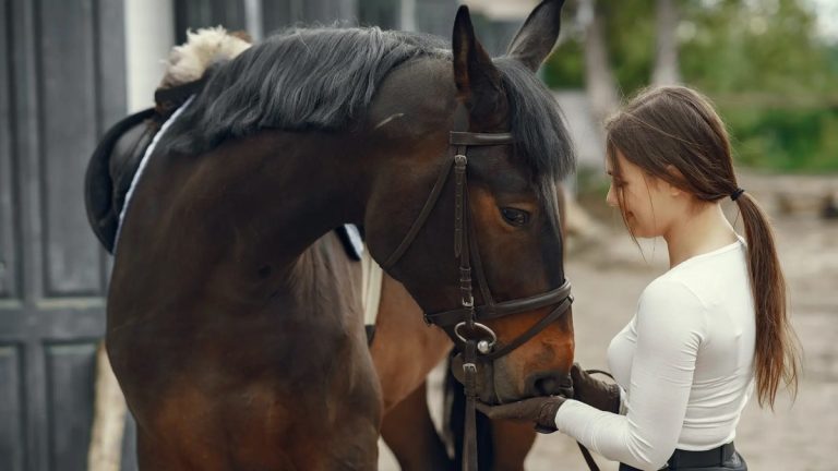 What Is Equine Therapy: Benefits, Types, and How It Works