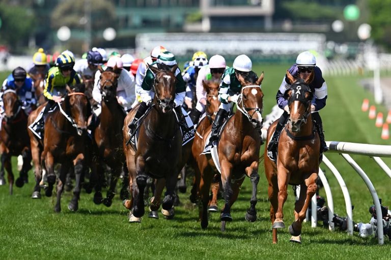 Do Horses Enjoy Racing? Understanding Their Behavior, Stress, and Motivation