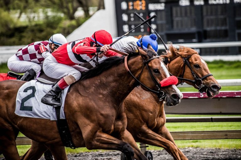 How Fast Can a Thoroughbred Horse Run? Speed, Training, and Performance Insights