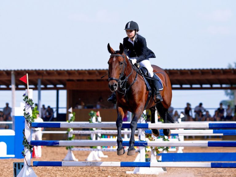 How High Can a Horse Jump? Records, Training, and Techniques Explained