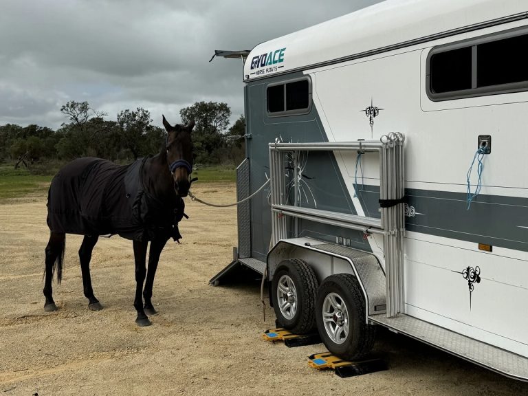 How Much Does a Horse Trailer Weigh? Complete Breakdown for Buyers