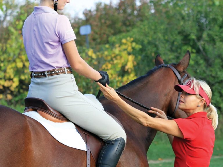 How Much Does a Horse Trainer Earn? Salary, Factors, and Career Insights