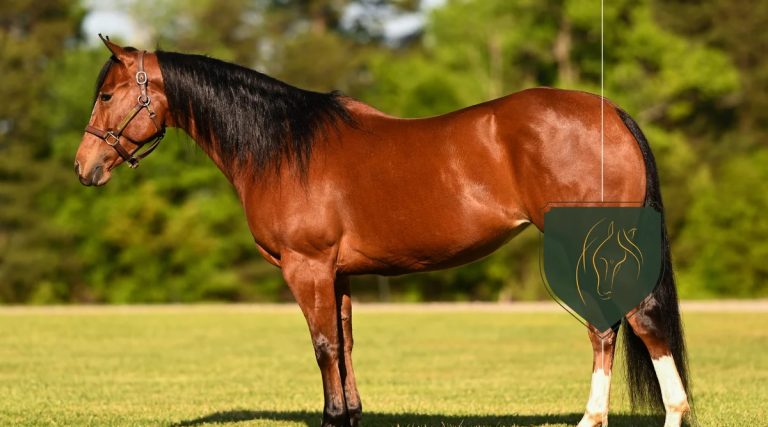 How Much Does A Thoroughbred Horse Weigh: Key Factors And Insights