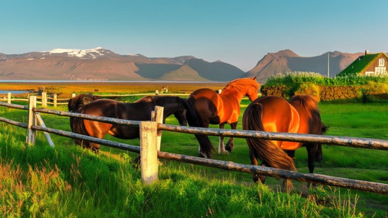 horse meat consumption in iceland